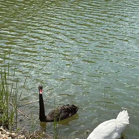 узунови леик Appartement Tryavna