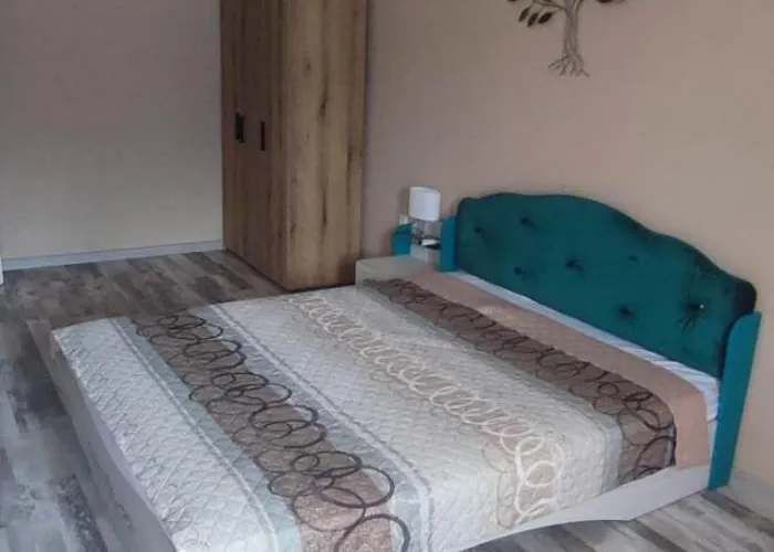 узунови леик Apartament *