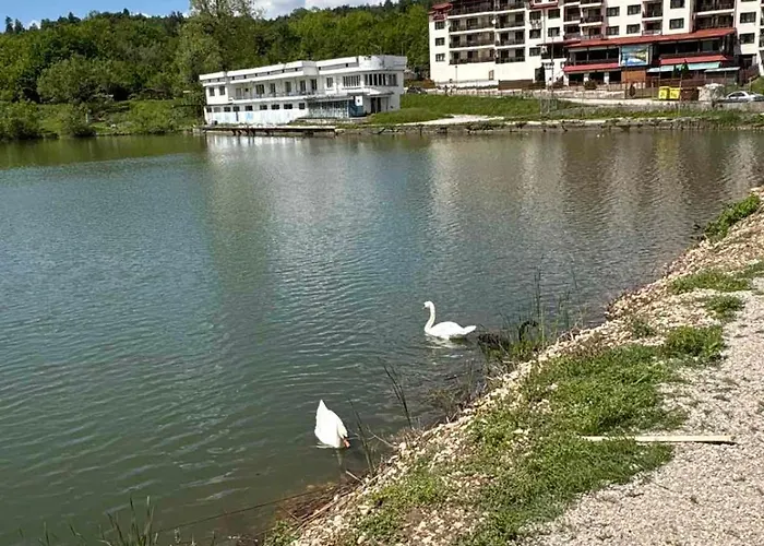 Apartament узунови леик *