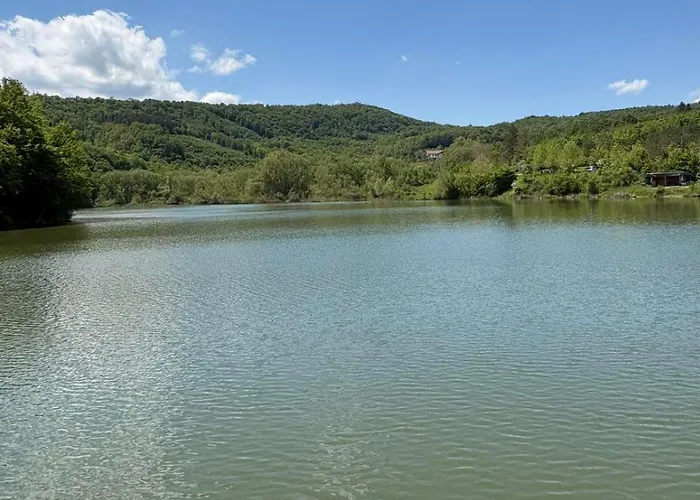 Apartament узунови леик