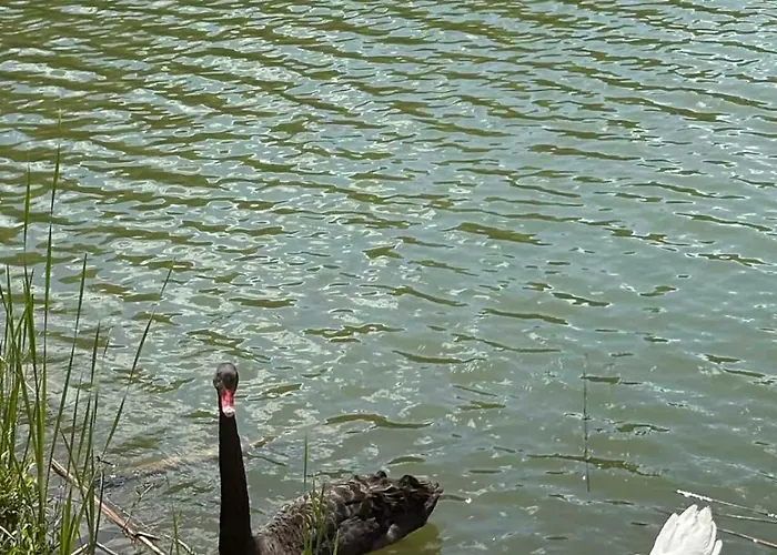 узунови леик Apartament Triawna