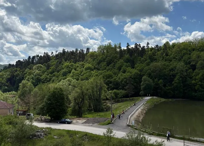 узунови леик *